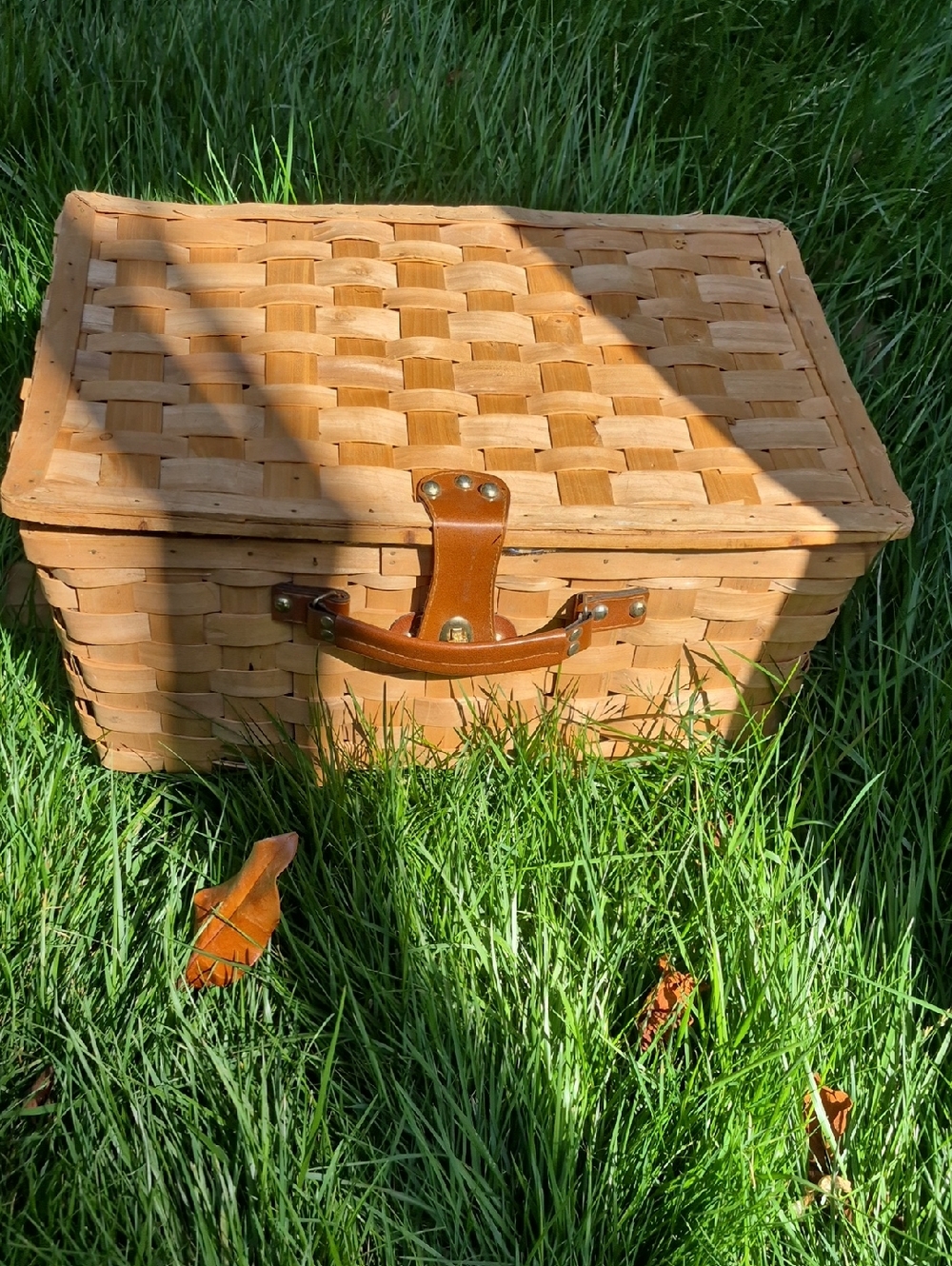 Woven Picnic Basket Tan BLue
